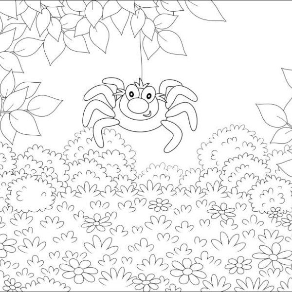 tô màu con nhện 2