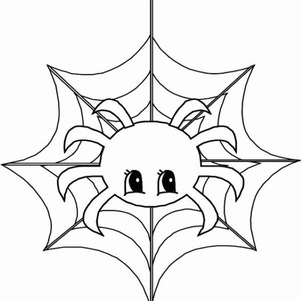 tô màu con nhện 24