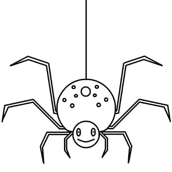 tô màu con nhện 33