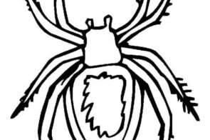 Bộ sưu tập 77+ tranh tô màu con nhện cực dễ thương