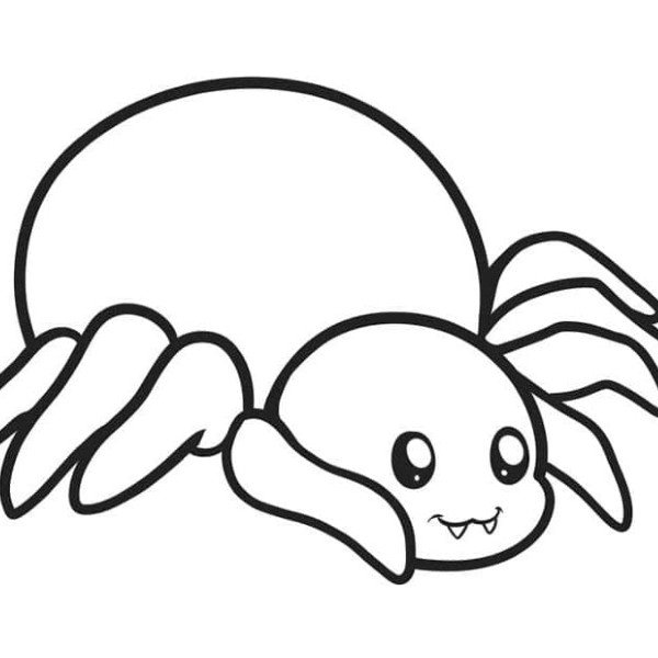 tô màu con nhện 40