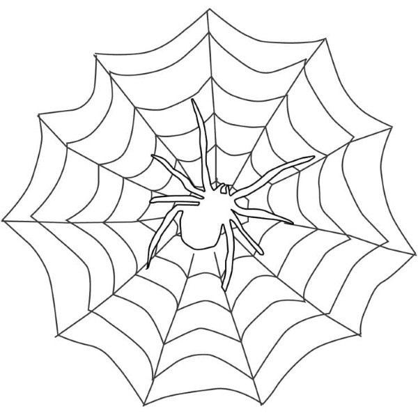 tô màu con nhện 41