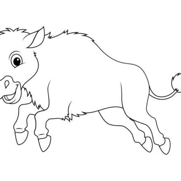 Little Bison Cartoon Animal Illustration BW