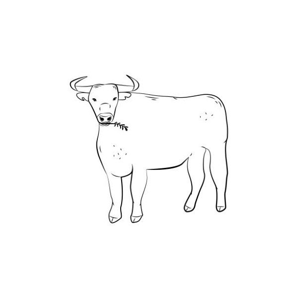 Hand Drawn Cattle Icon Vector Design.