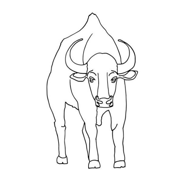 tô màu con trâu 7