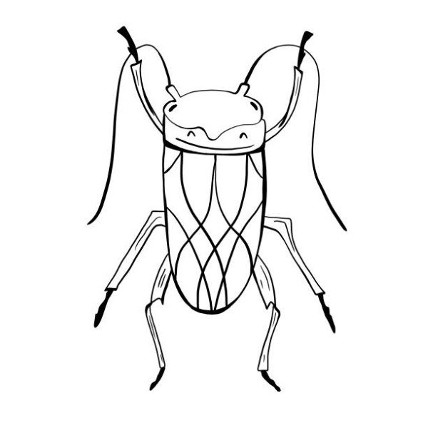 tô màu côn trùng 10