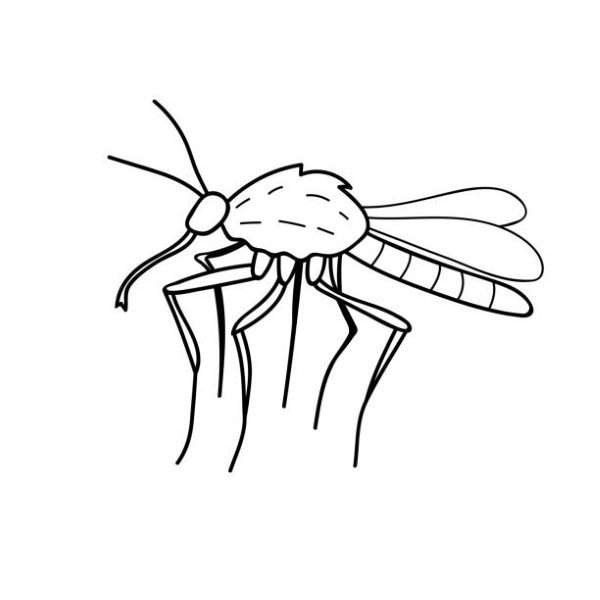 tô màu côn trùng 15