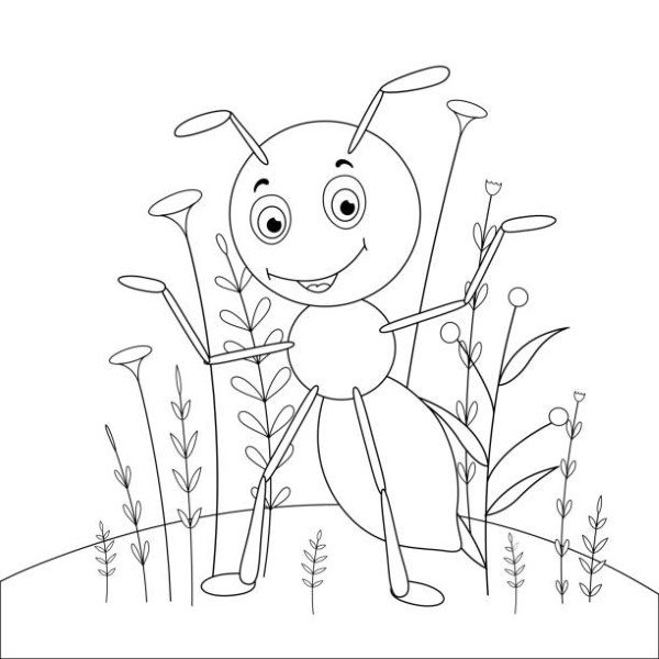 tô màu côn trùng 2