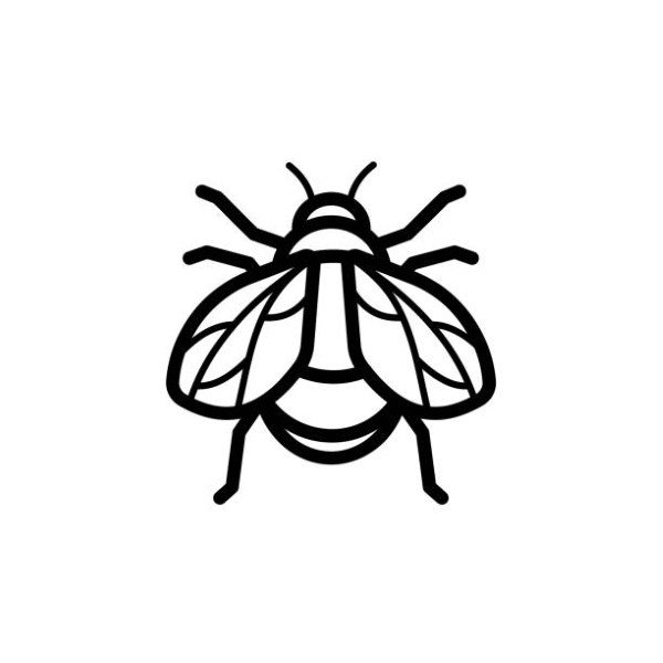 tô màu côn trùng 23