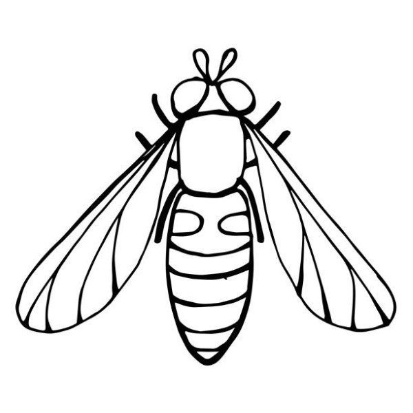 Hand drawn doodle style, Isolated black line on white.