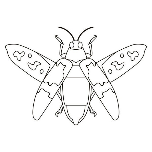 Scarab Beetle Bug Insect Cartoon Illustration Isolated