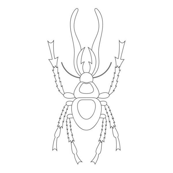 tô màu côn trùng 29