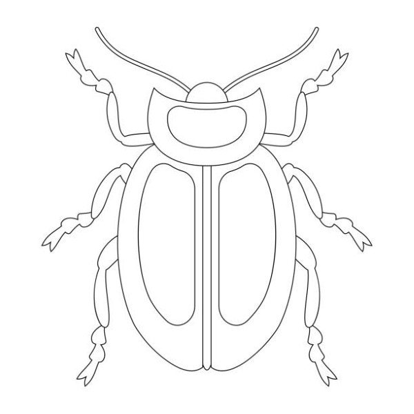 tô màu côn trùng 30