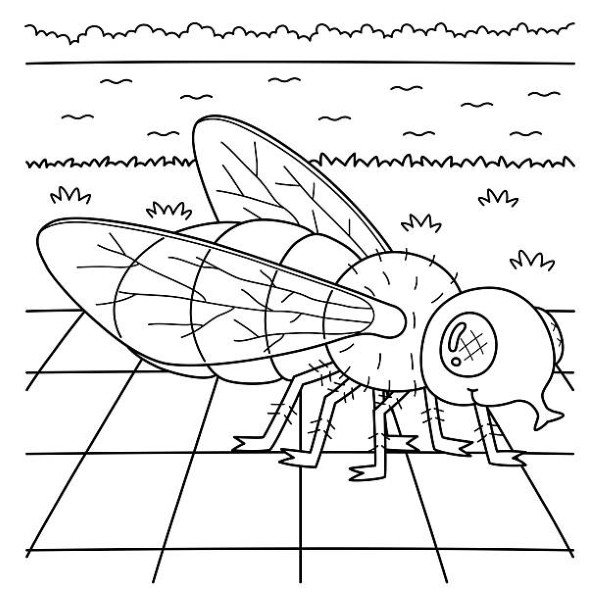 tô màu côn trùng 35