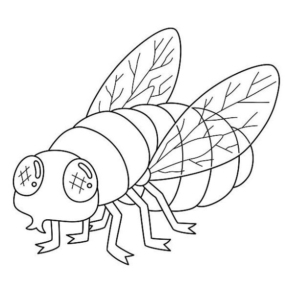 tô màu côn trùng 37