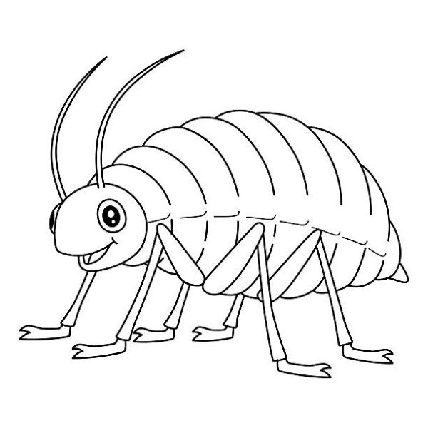 tô màu côn trùng 38