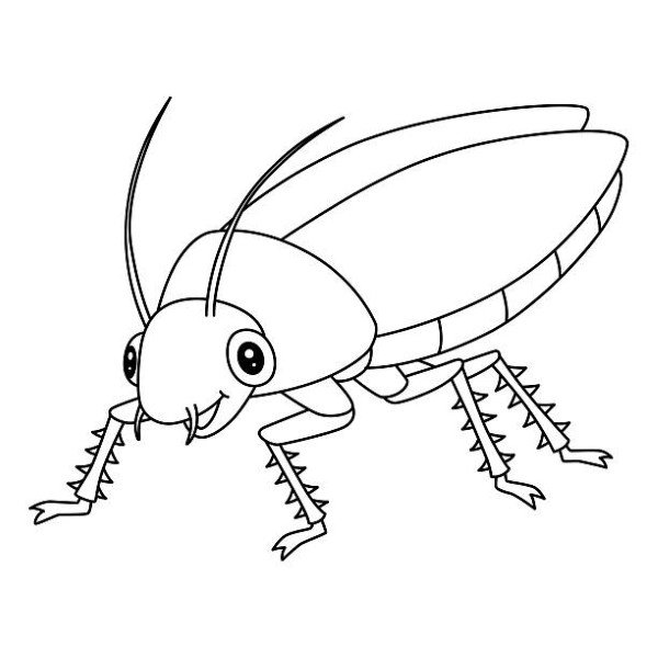 tô màu côn trùng 39