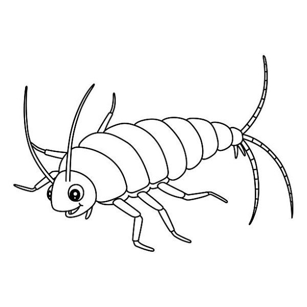 tô màu côn trùng 40