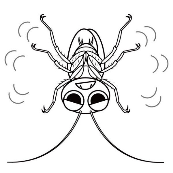 Cockroach Character Illustration Clipart
