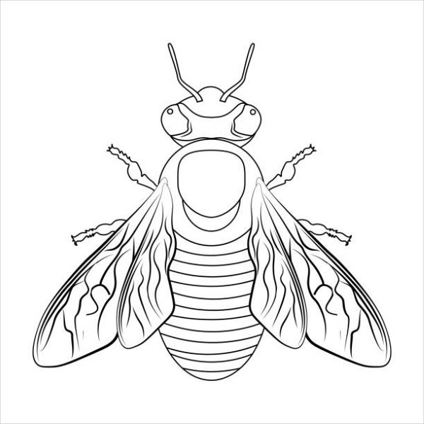 tô màu côn trùng 8