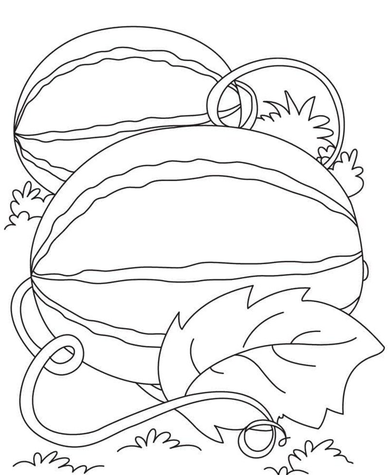 tô màu dưa hấu 9