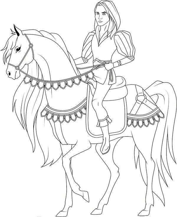 tô màu hoàng tử 13