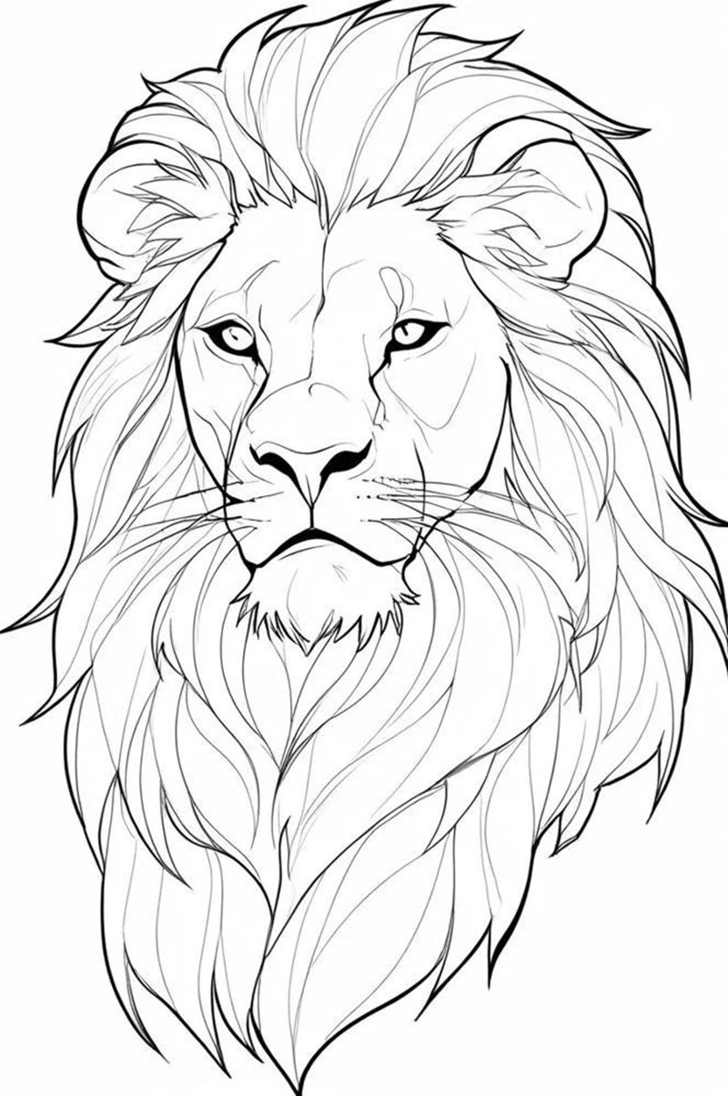 tô màu sư tử 20