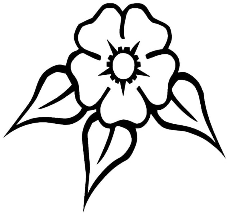 tranh tô màu bông hoa 5 cánh 10