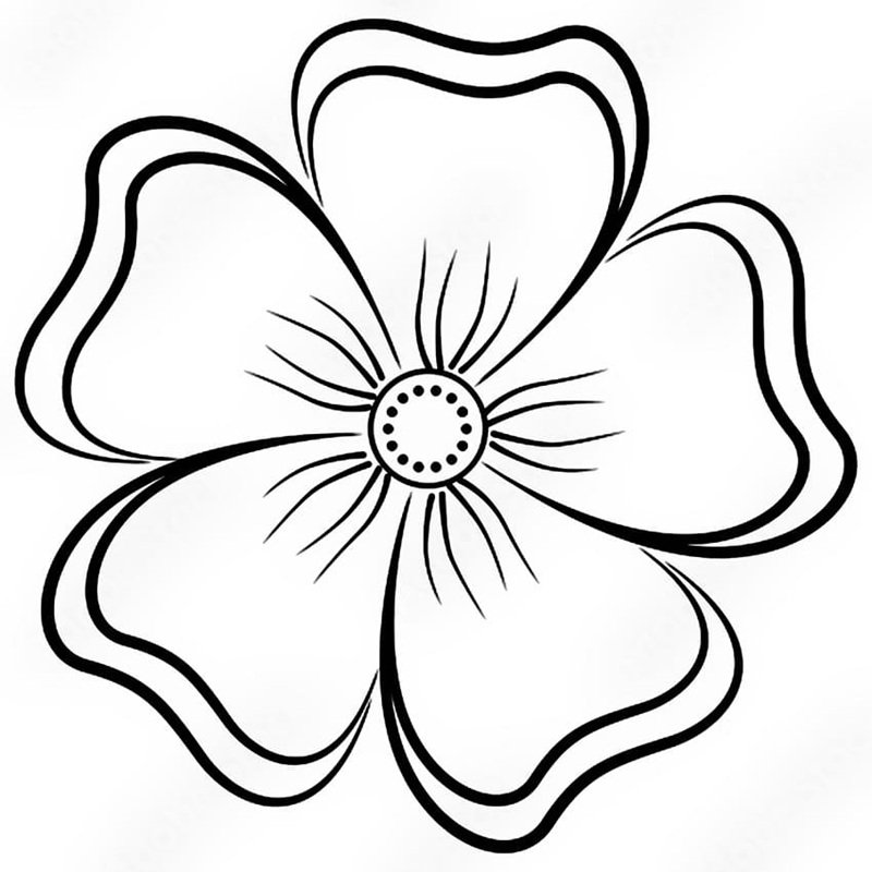 tranh tô màu bông hoa 5 cánh 12