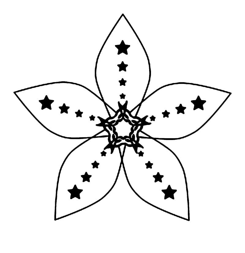 tranh tô màu bông hoa 5 cánh 17