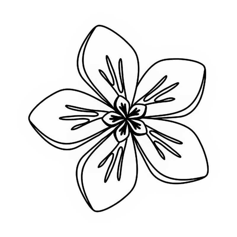 tranh tô màu bông hoa 5 cánh 20