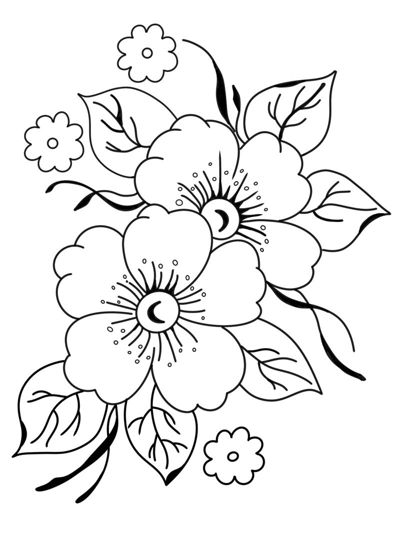 tranh tô màu bông hoa 5 cánh 26