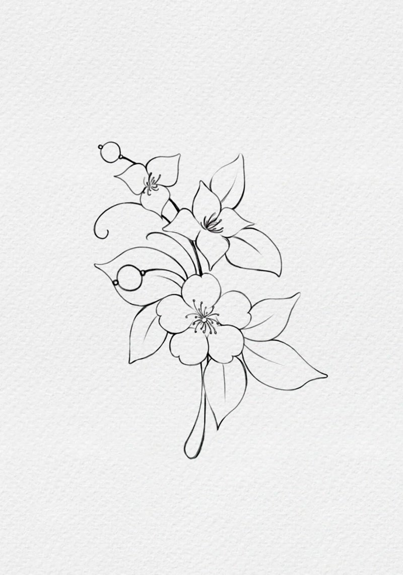 tranh tô màu bông hoa 5 cánh 39