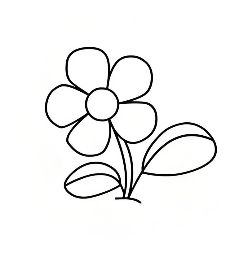 tranh tô màu bông hoa 5 cánh 4