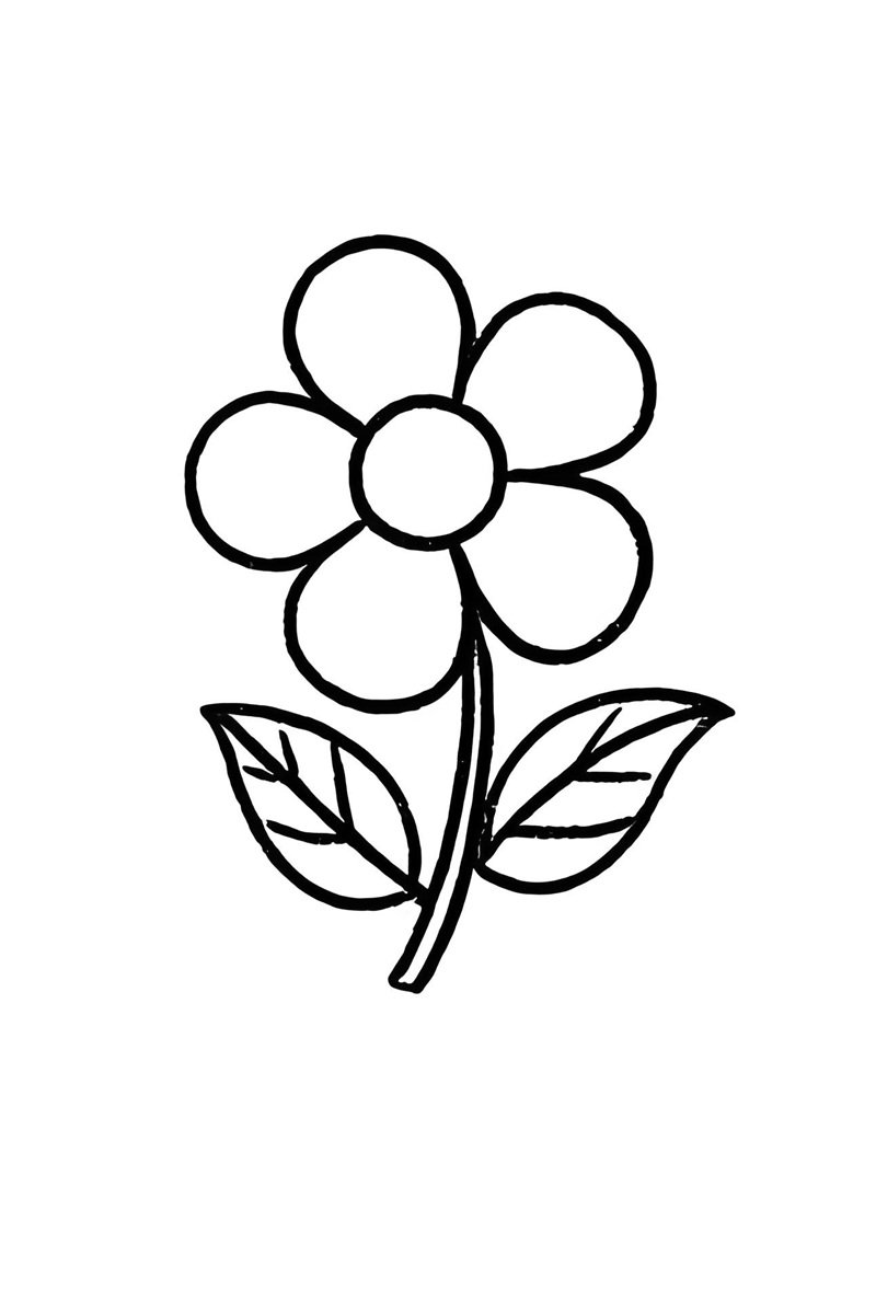 tranh tô màu bông hoa 5 cánh 9