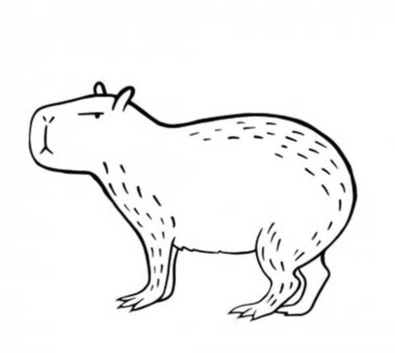 tranh tô màu capybara cute 17