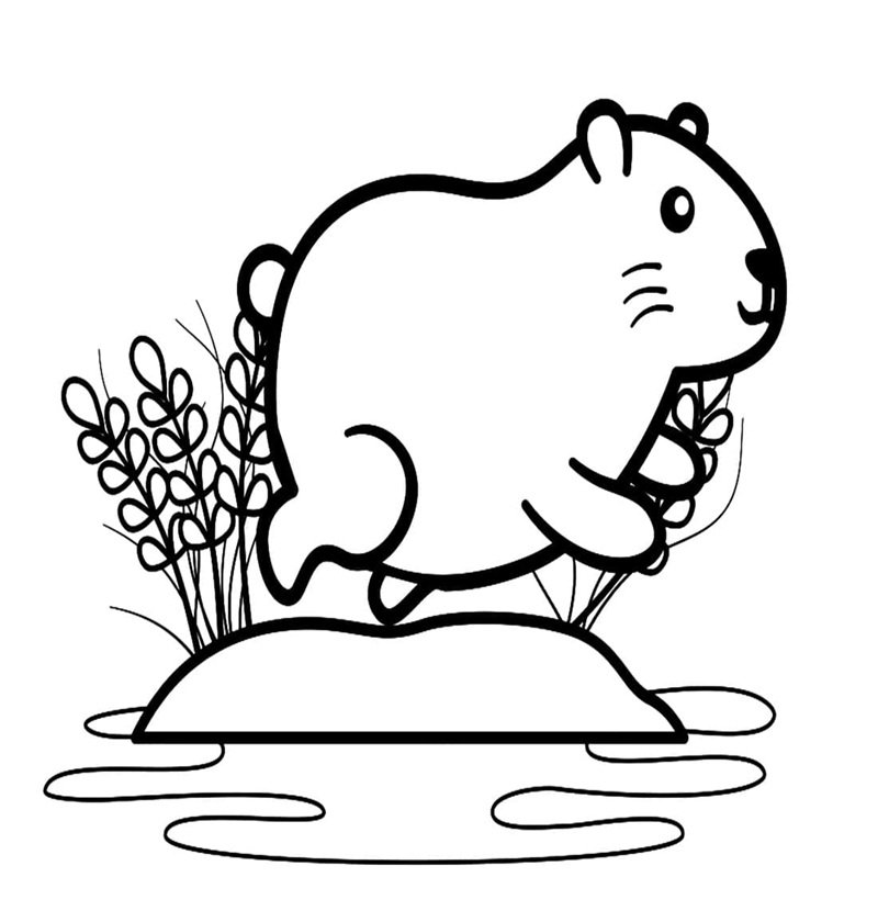 tranh tô màu capybara cute 21