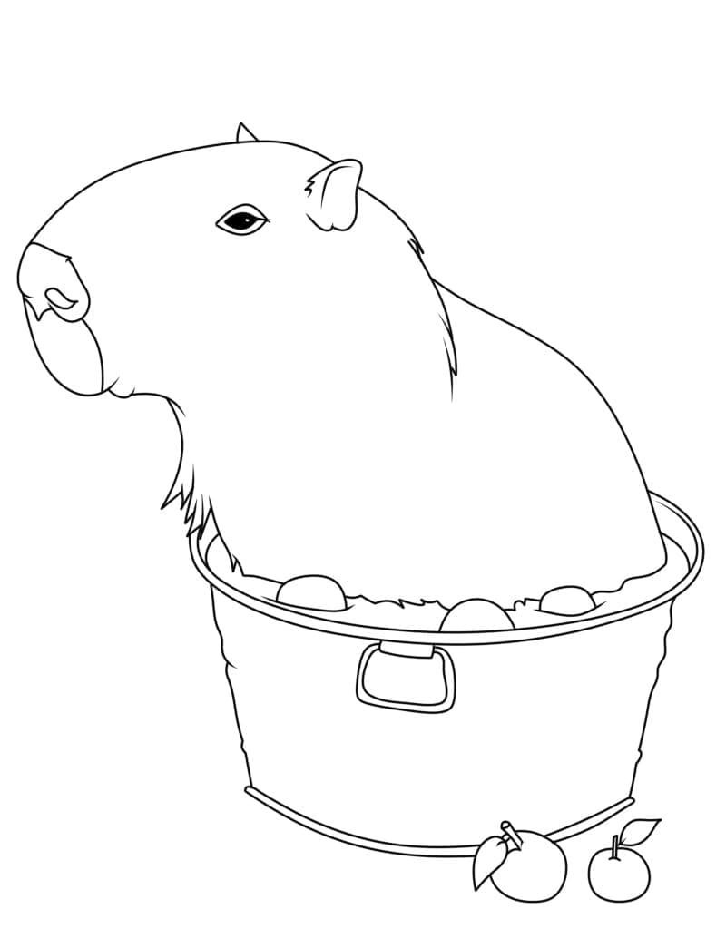 tranh tô màu capybara cute 26