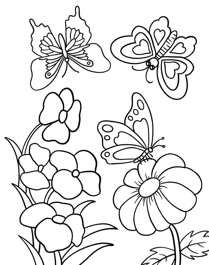 tranh tô màu con bướm 17