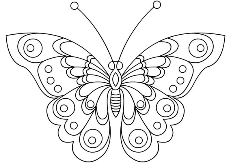 tranh tô màu con bướm 2