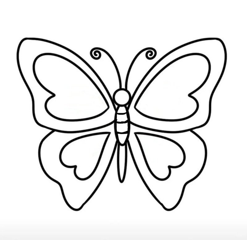 tranh tô màu con bướm 22