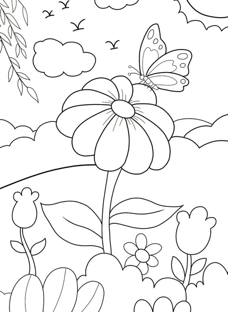 tranh tô màu con bướm 6