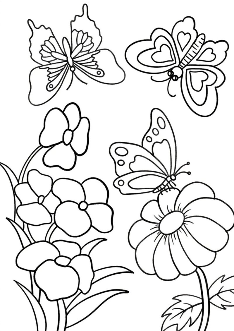 tranh tô màu con bướm 7