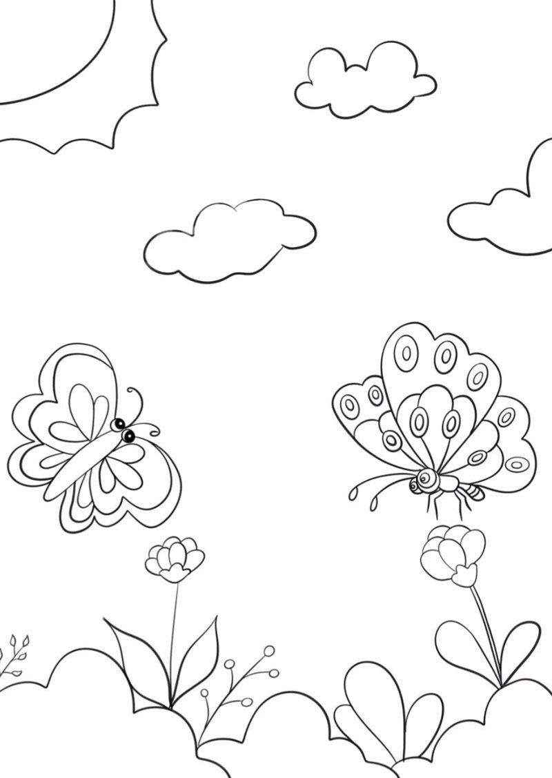 tranh tô màu con bướm 8