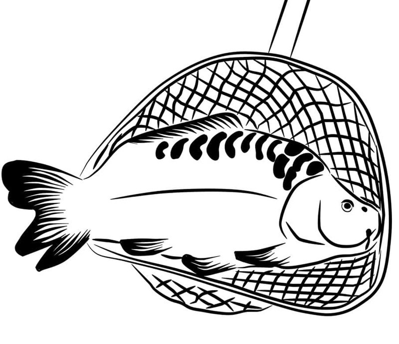 tranh tô màu con cá chép 1