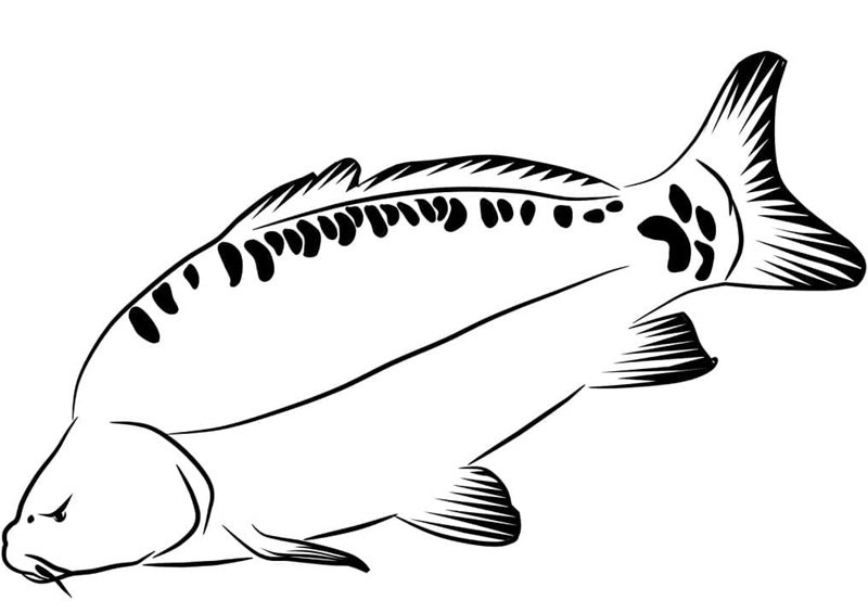 tranh tô màu con cá chép 12