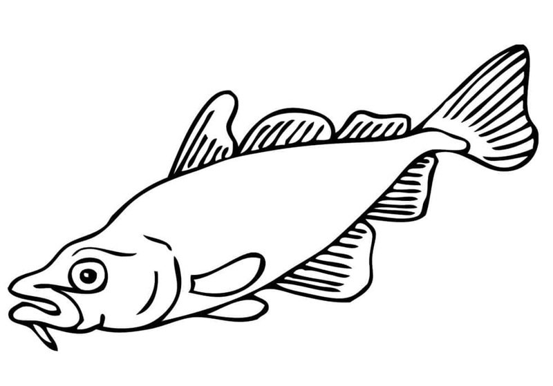 tranh tô màu con cá chép 15