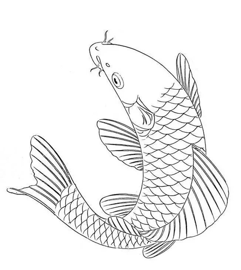 tranh tô màu con cá chép 16
