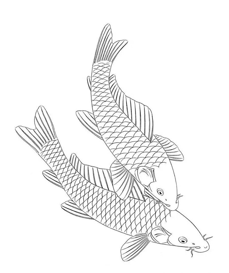 tranh tô màu con cá chép 17