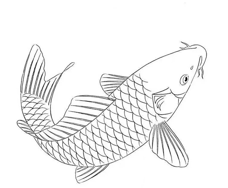 tranh tô màu con cá chép 18